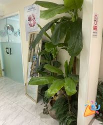 -健身堂科技美肌SPA