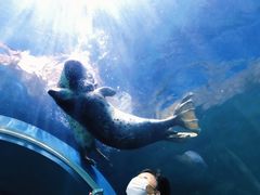-青岛海底世界-水族馆