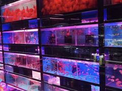 -双季花艺园艺市场(浦东店)