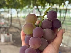 -后村面馆(后村家园店)