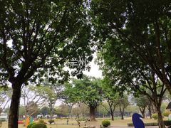 -广州市越秀区育才实验学校