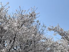 -幕燕滨江·燕子矶公园