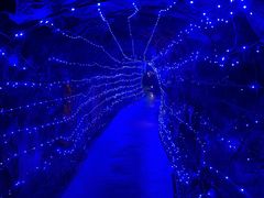 -融水老君洞景区