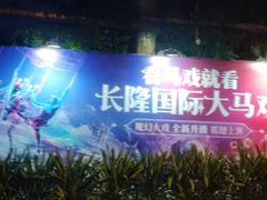 -广州长隆国际大马戏