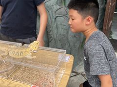 -华谊兄弟（长沙）电影小镇