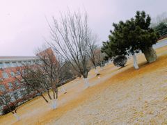 -东北师范大学(净月大街校区)