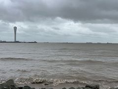 -上海吴淞炮台湾国家湿地公园