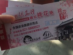 -南汇桃花村