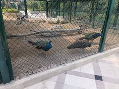 -青岛鑫江温德姆酒店