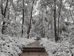 -艾溪湖湿地公园