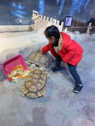 -酷嗒动物文化乐园(cutezoo西溪乐天城店)