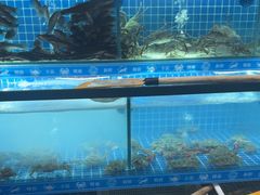 -周记老沈阳焦火鸡架