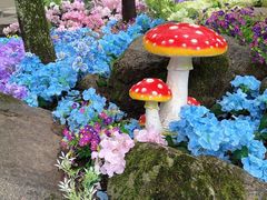 -洛阳白云山景区