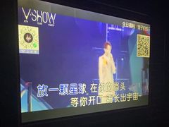 -V SHOW max KTV(粉巷店)