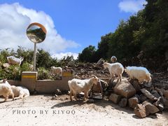 -白草畔自然风景区