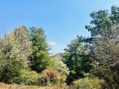 -名花谷生态庄园