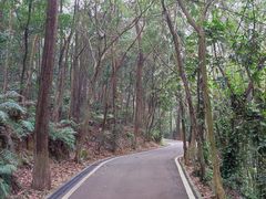 -滴水岩森林公园