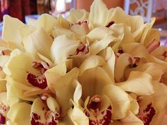 -咖啡苑 - 蔚藍夏日限定主题(永利皇宫店)