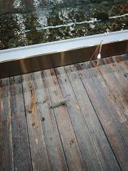 -钓虾工场·钓虾·赶海(回龙观店)