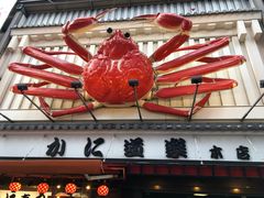 -蟹道乐(道顿堀本店)