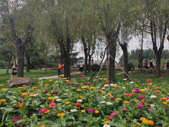 -长春公园(普阳街道)