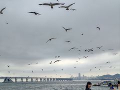 -星海广场