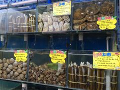 -蚝专家(北滘店)