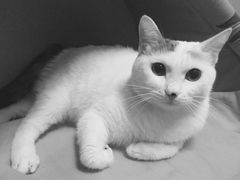 -海底捞火锅(杭州庆春路夜宵主题店)