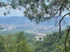 -大奇山国家森林公园