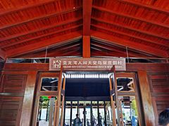 -三亚亚龙湾人间天堂鸟巢度假村