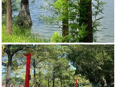 -飞来湖湿地公园