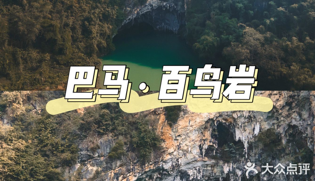 号称“水上芦笛岩”的巴马百鸟岩