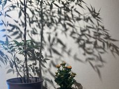 -十二舍·湯物素煮(江泰潤政店)