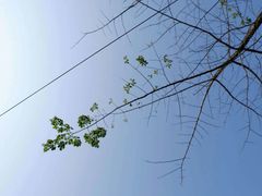 -华南国家植物园-售票处