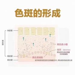 点击看大图 -美肤盾祛痘·问题肌头疗管理中心