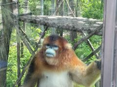 -哈尔滨北方森林动物园