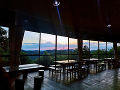 -雁南飞茶田景区