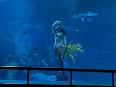 -太平洋海底世界