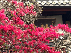 -宝光寺