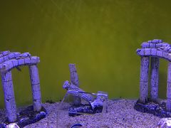 -芜湖新华联大白鲸海洋公园