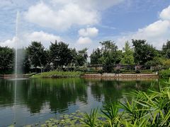 -成飞公园