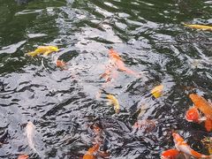 -国恩寺