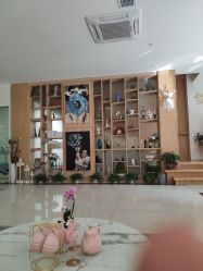 -百秀名媛纹绣美学护肤中心