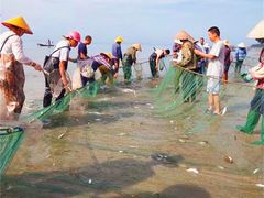 -日照灯塔风景区