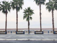 -东钱湖旅游度假区