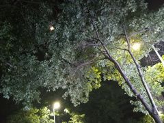 -胜记菜馆(文明路)