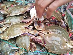 -蓝珊甄选海鲜自助·火锅大排档(近阿那亚店)