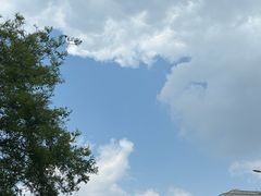 -胡悦里韩式烤肉(莱阳总店)