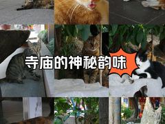 -龙华寺