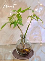 -FUMEIHUI·科技美肤·美体SPA